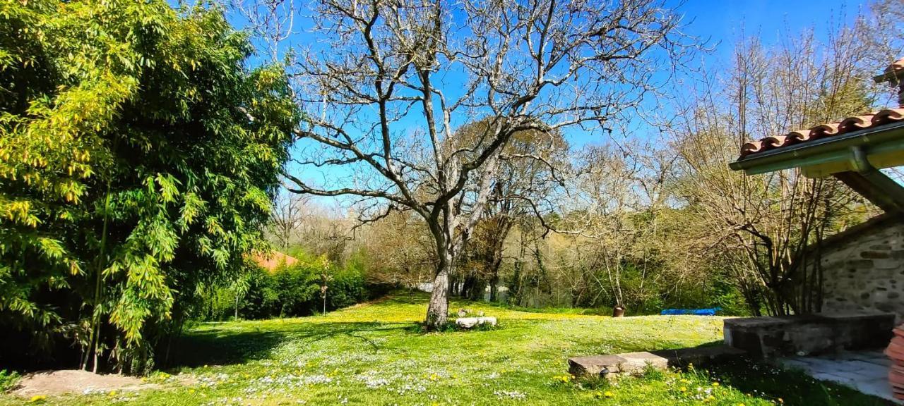 Apartmán Entre Galets Sauveterre-de-Bearn Exteriér fotografie